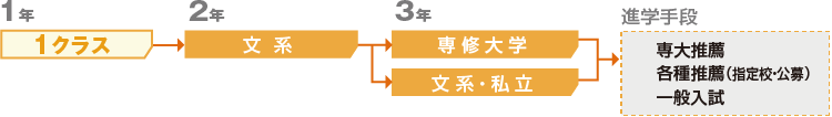 S類型説明図